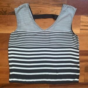 The Limited Stripe Top